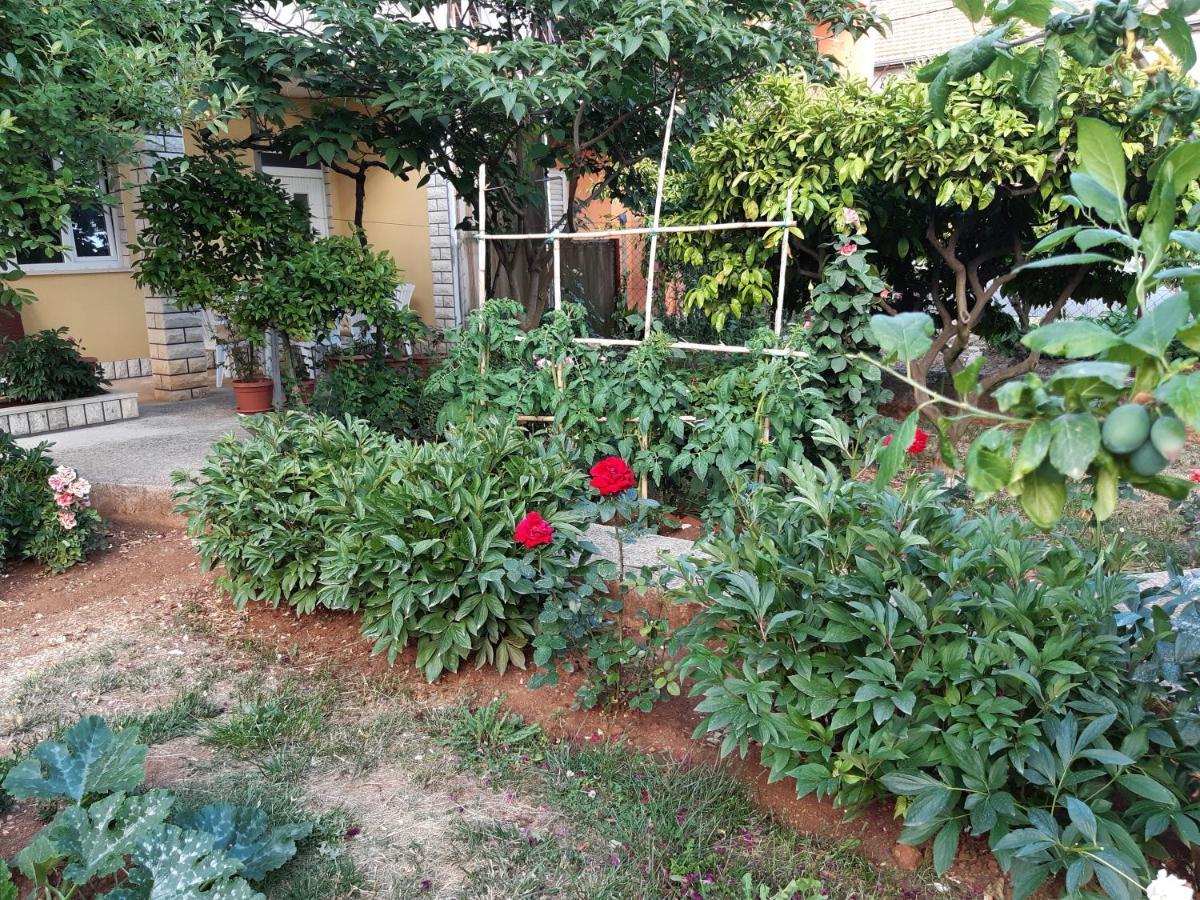 Apartment Jardin With Free Cowered Parking Zadar Dış mekan fotoğraf