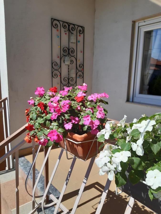 Apartment Jardin With Free Cowered Parking Zadar Dış mekan fotoğraf