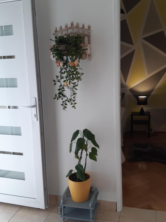 Apartment Jardin With Free Cowered Parking Zadar Dış mekan fotoğraf