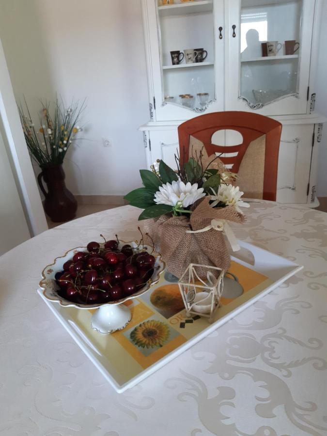 Apartment Jardin With Free Cowered Parking Zadar Dış mekan fotoğraf